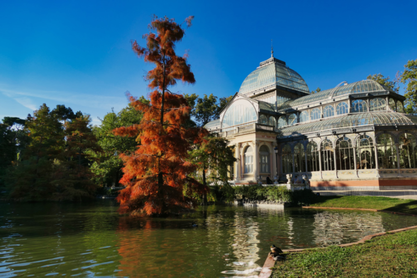 Parque de El Retiro: El oasis de Madrid